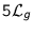 $5\mathcal{L}_g$