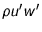 $\rho u' w'$
